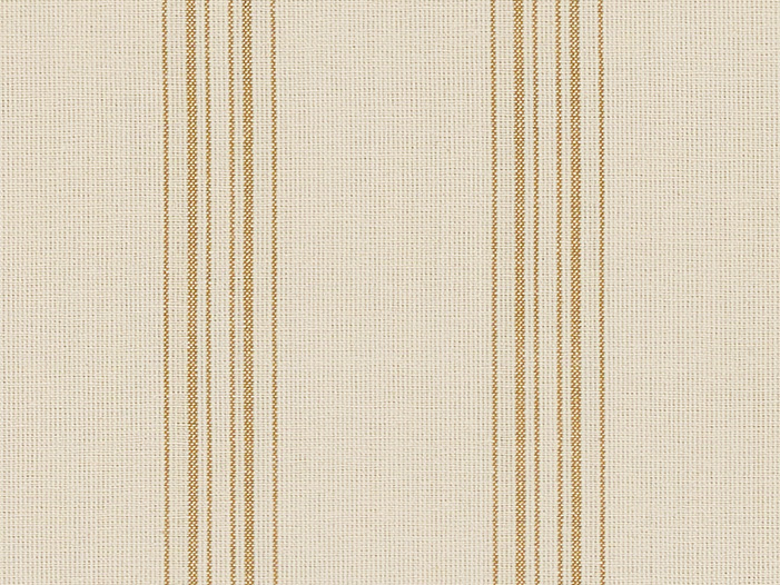 Escaut-Stripe